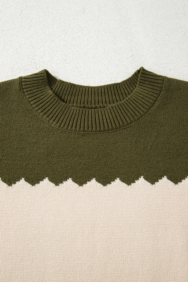Brown Colorblock Crew Neck Drop Shoulder Sweater