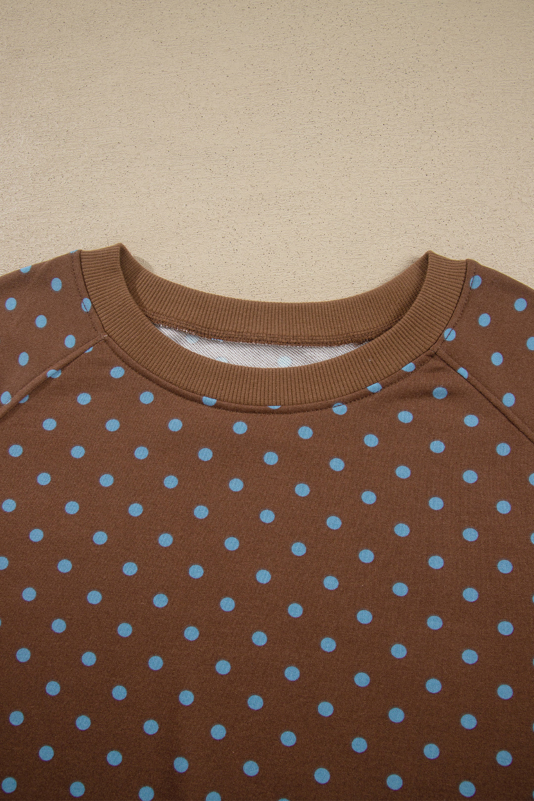 Brown Polka Dot Round Neck Long Sleeve Plus Size Set