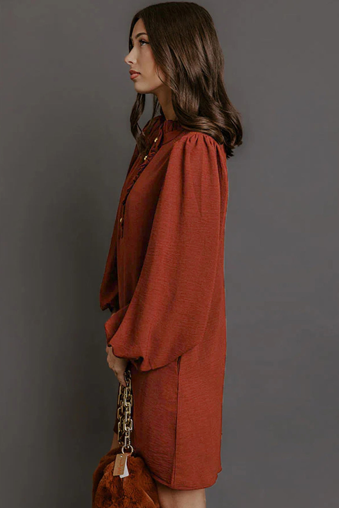 Coffee Solid Shift Long Sleeve Short Length One Piece Dress