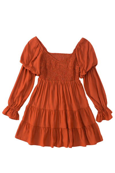 Brown Boho Solid Shirred Ruffle Mini Dress