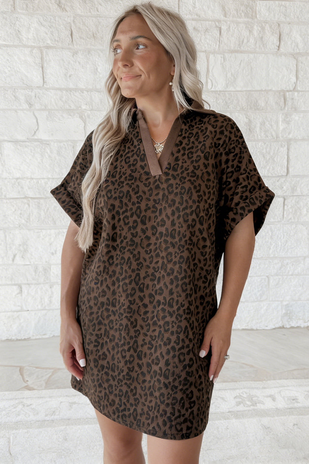 Brown Leopard Print Contrast Collar V-Neck Mini Dress