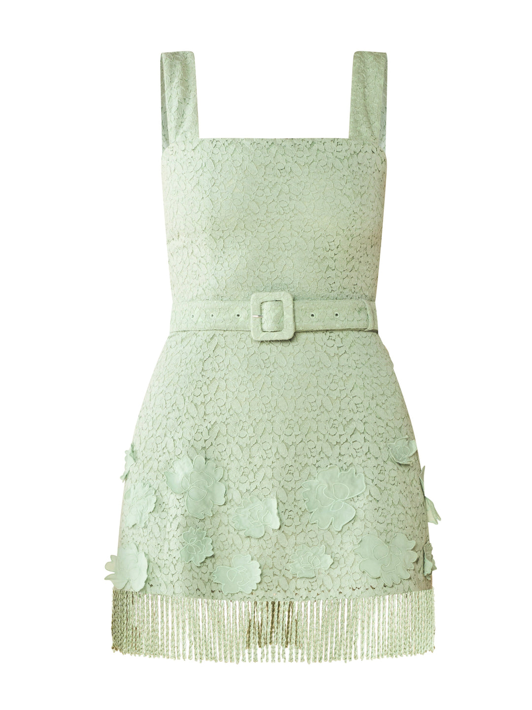 Sarah Bird Mini Dress