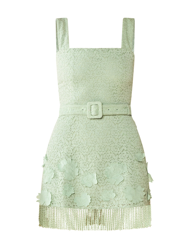 Sarah Bird Mini Dress