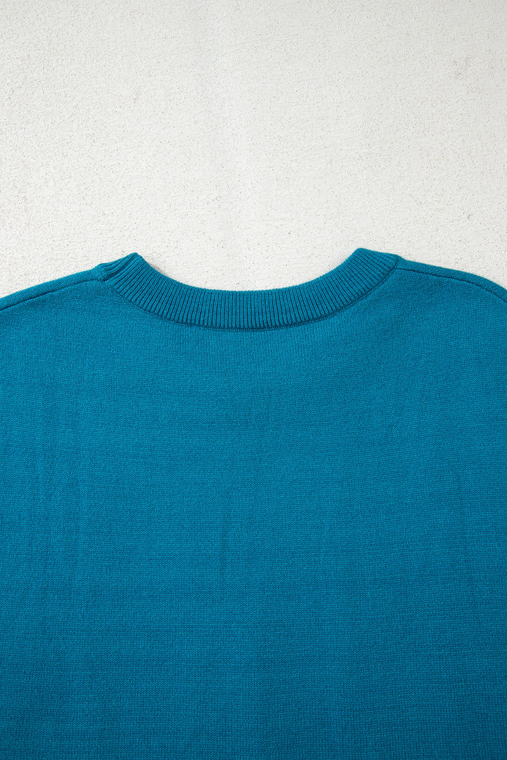 Light Blue Horse Shoe Embroidered Loose Short Sleeve Sweater