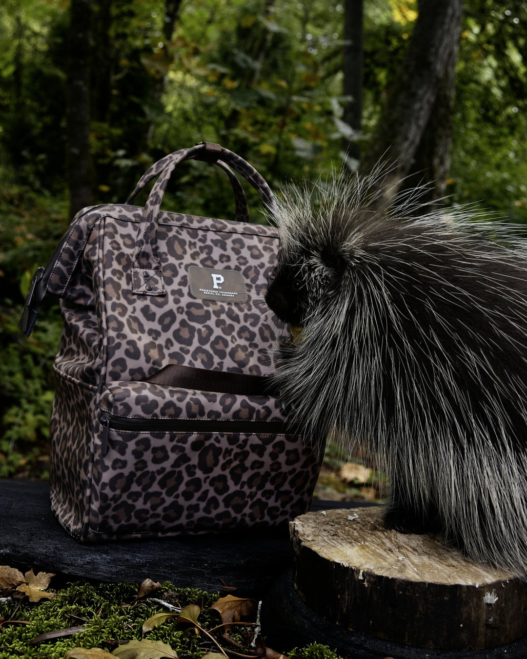 Cascade Backpack - Kids