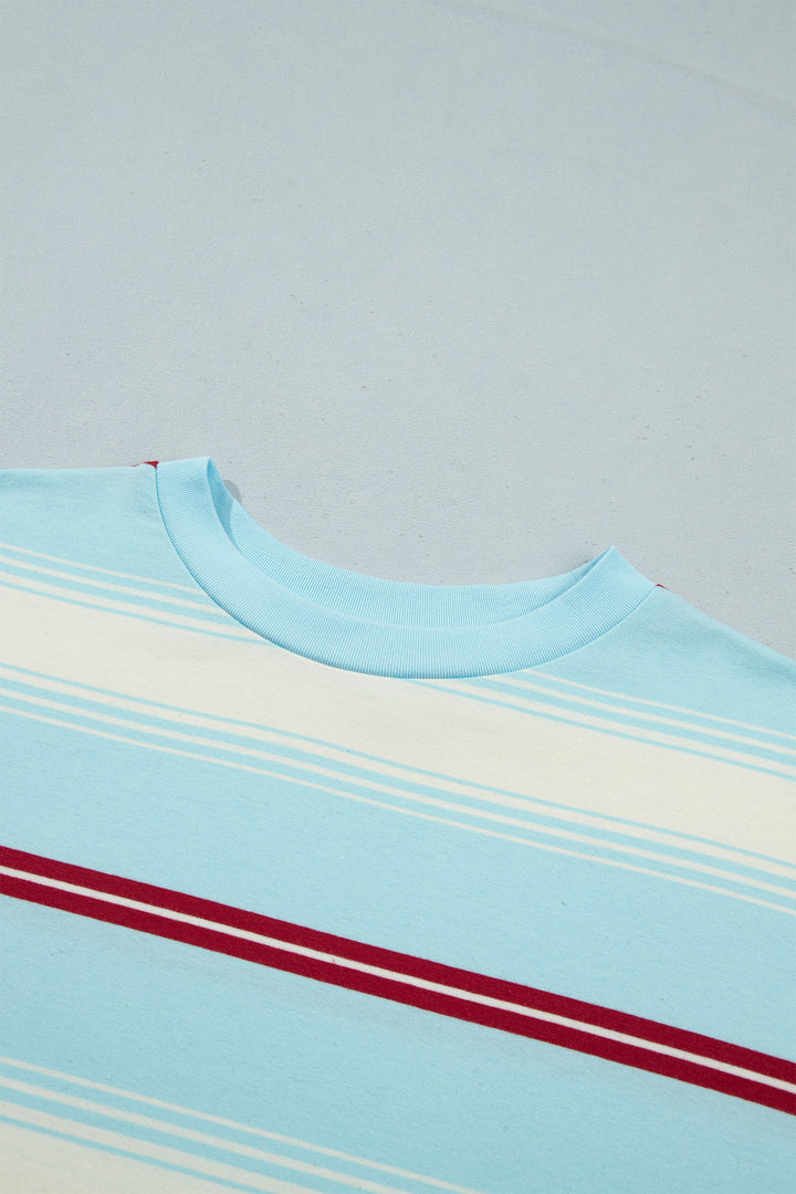 Sky Blue Stripe Casual Striped Patchwork Long Sleeve Loose Pullover Top