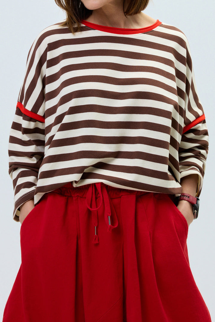 Brown Stripe Casual Long Sleeve Contrast Trim Round Neck Shift Top