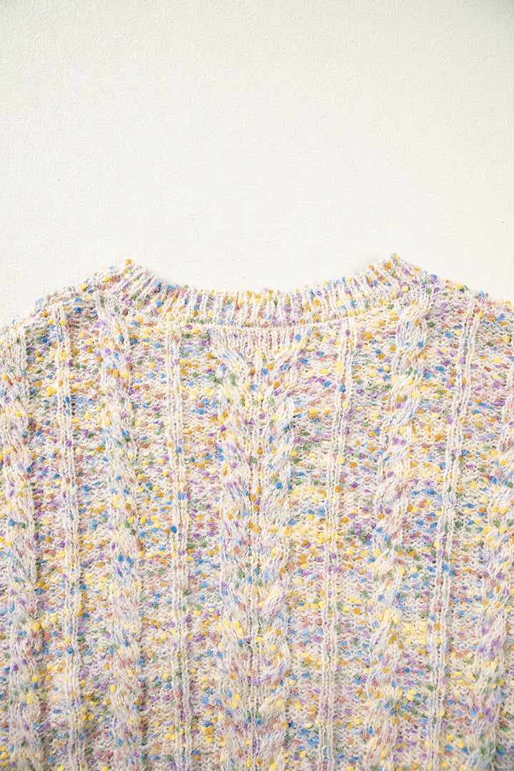 Multicolour Cozy Cable Knit Round Neck Long Sleeve Confetti Sweater