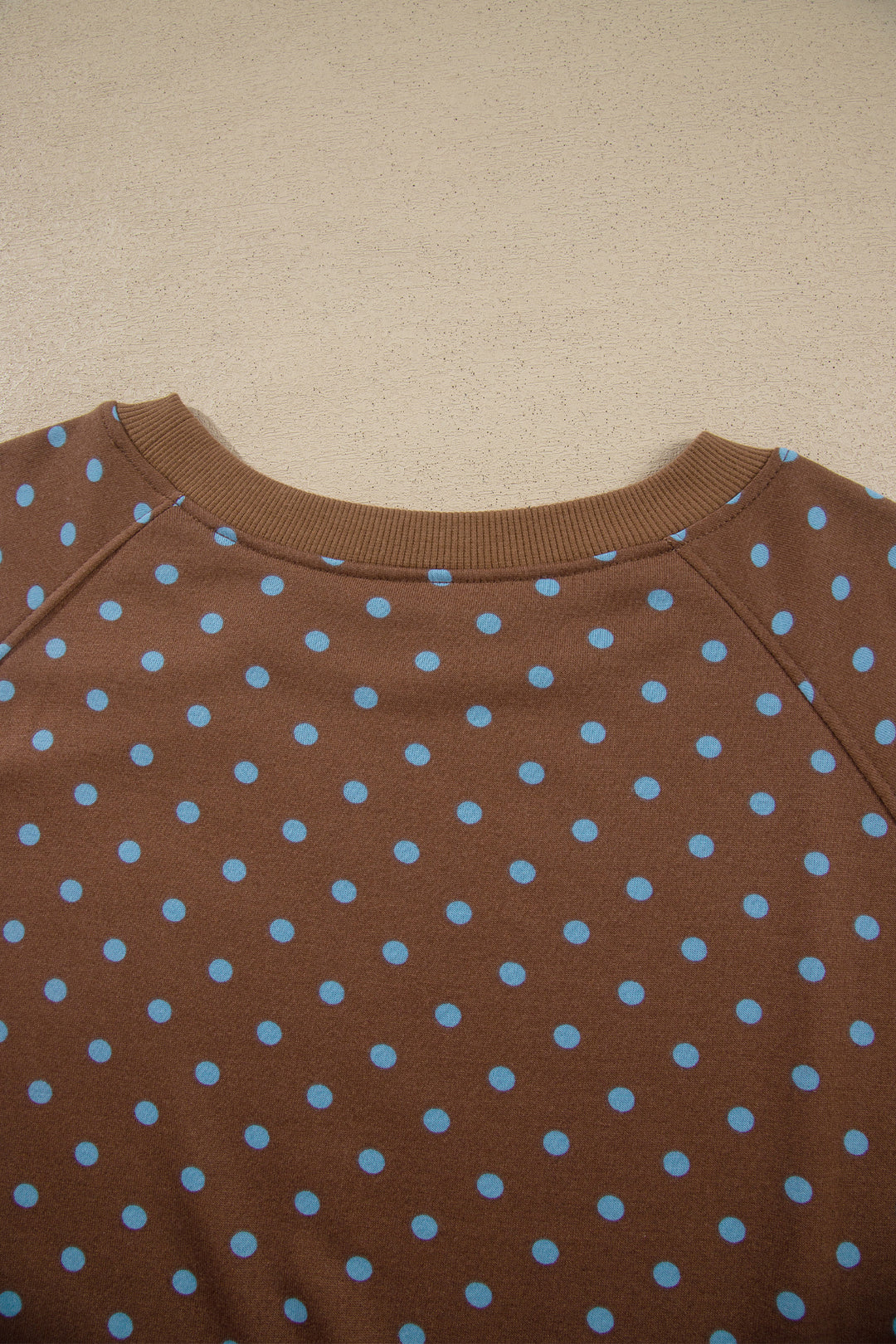 Brown Polka Dot Round Neck Long Sleeve Plus Size Set