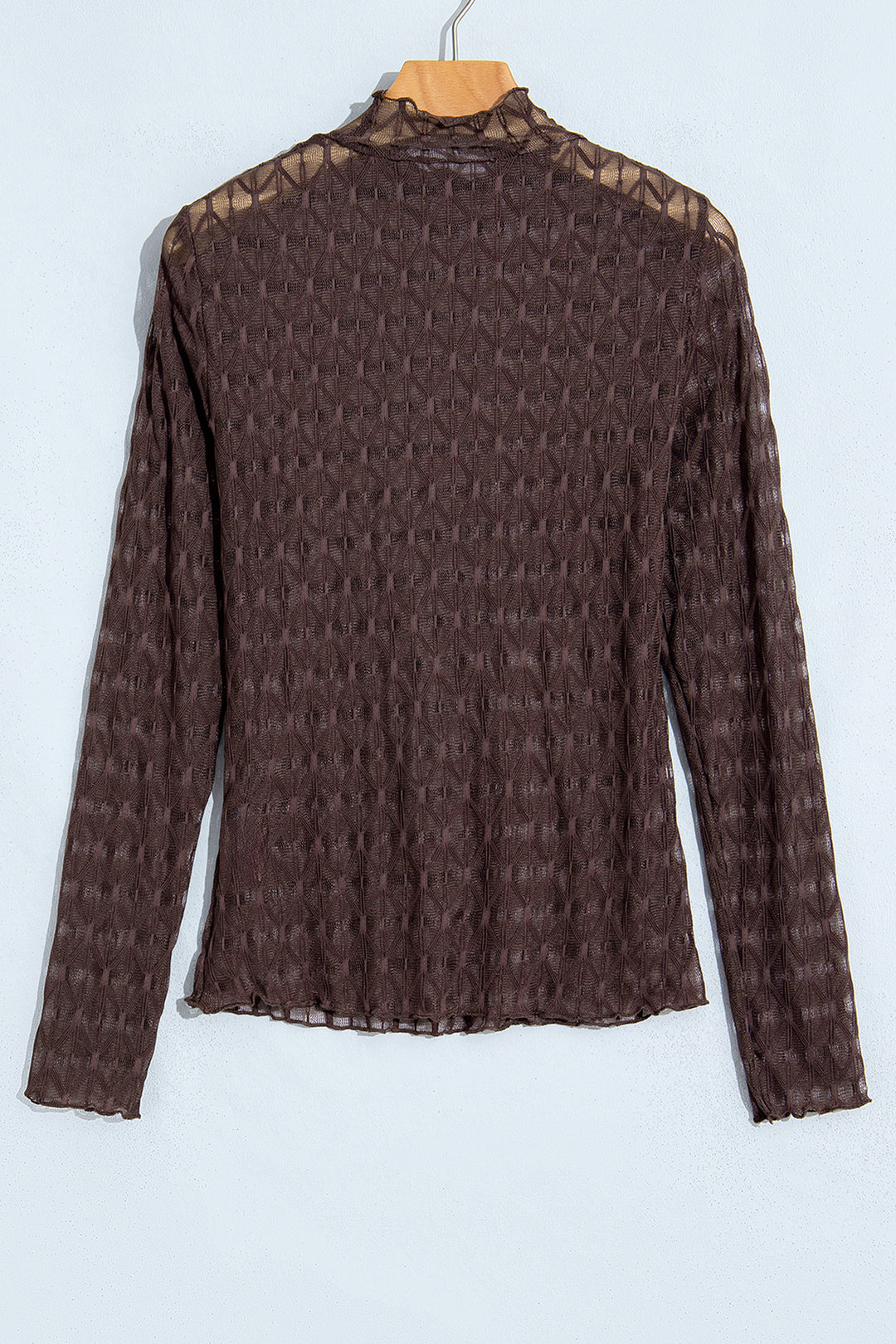 Chicory Coffee Sheer Textured Lace Stand Neck Long Sleeve Top