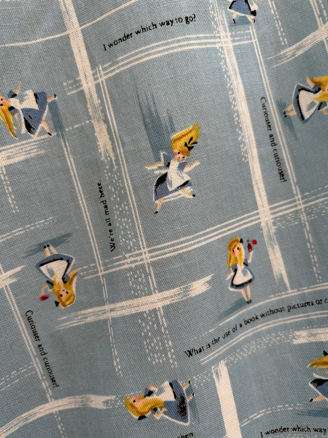 Wonderland Skater Skirt