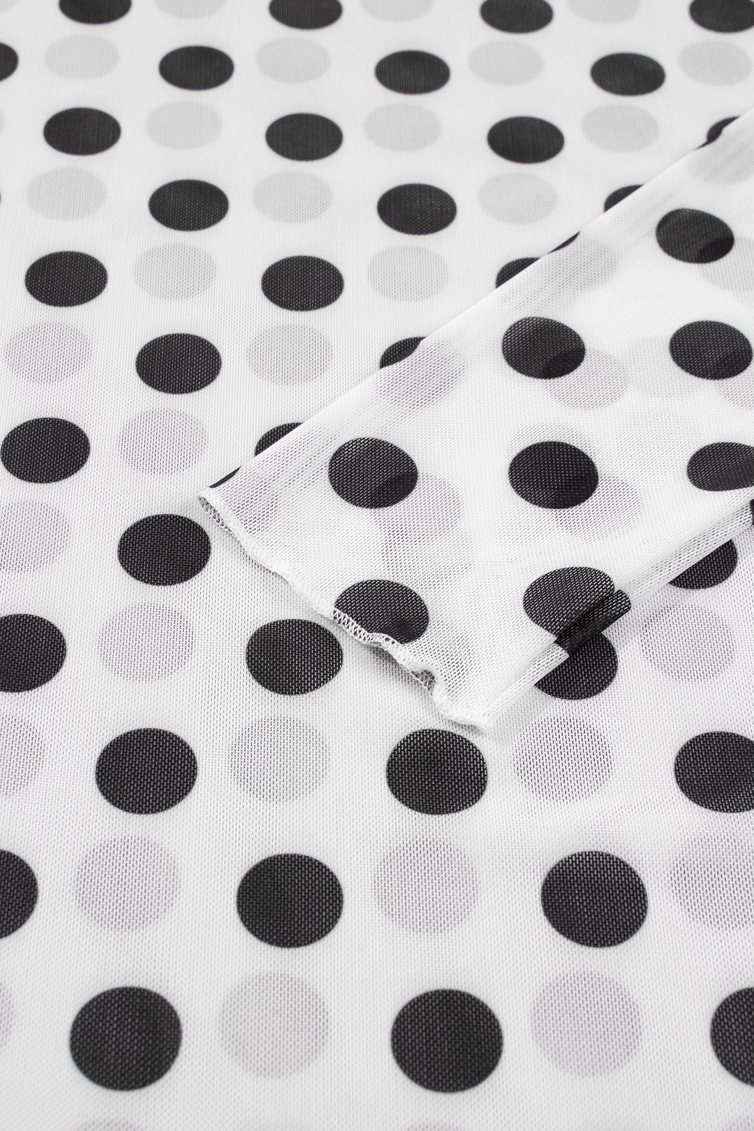 White Polka Dot Sheer Long Sleeve Round Neck Slim Top