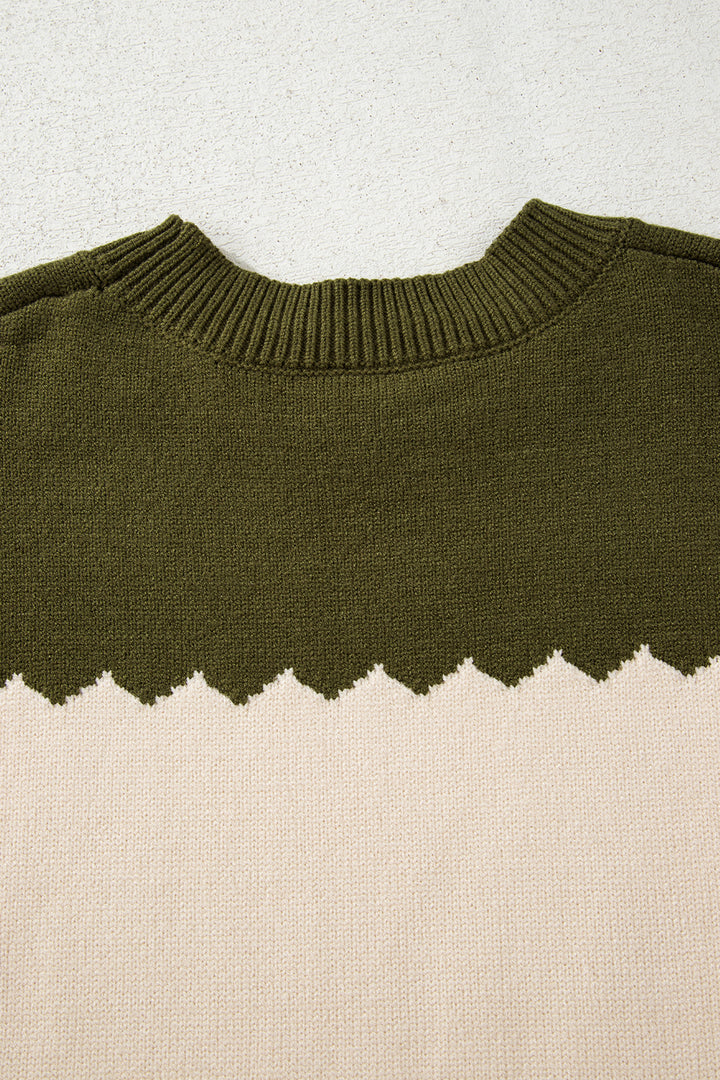 Brown Colorblock Crew Neck Drop Shoulder Sweater