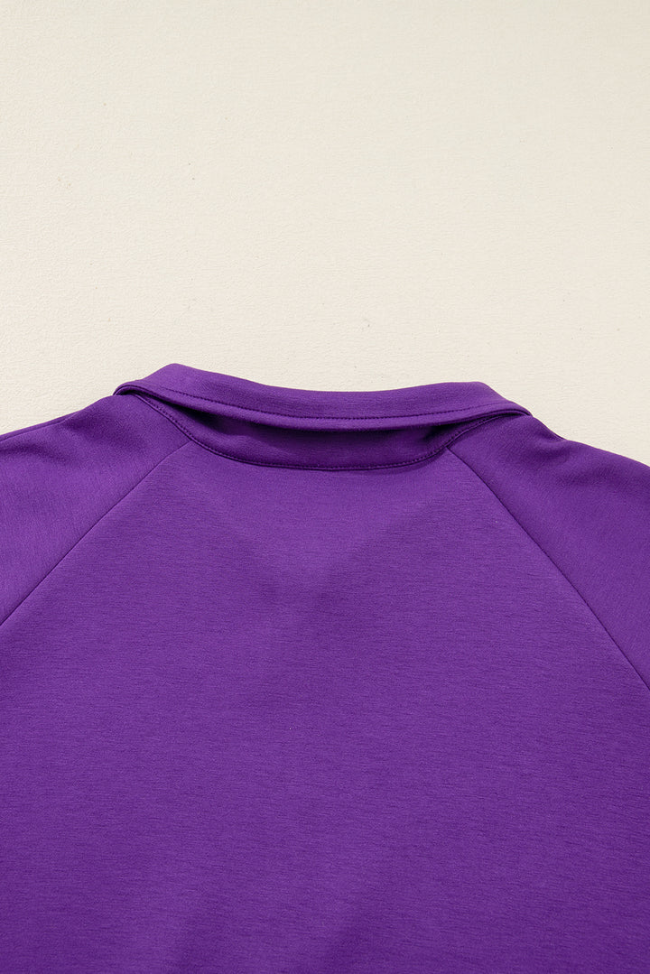 Wisteria Collar Half Zip Pullover Mini Skirt Plus Size 2pcs Set