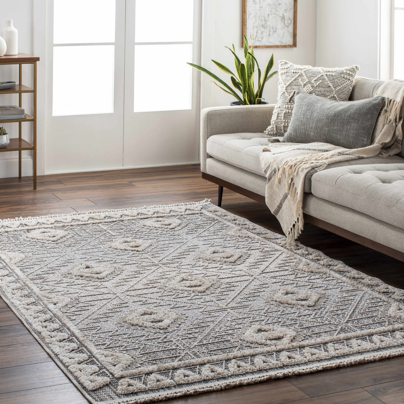 Agoo High-Low Pile Performance Rug