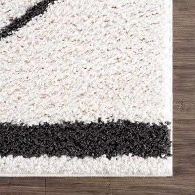 Bauer Plush Black Rainbow Rug - Clearance