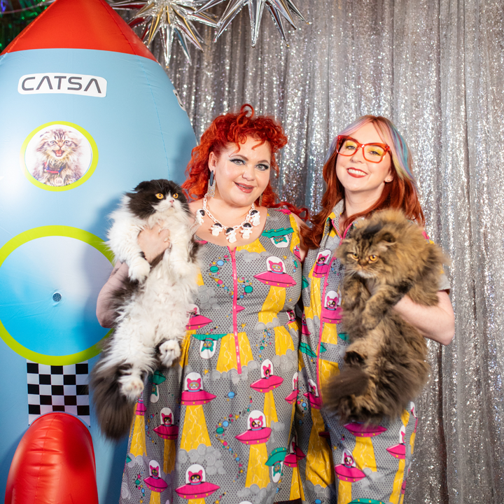 Cats in Space Jumpsuit in Asteroid Field