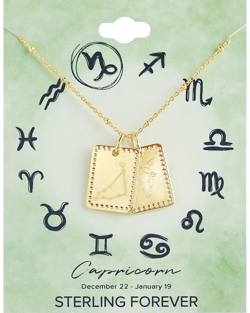 Zodiac Tag Necklace