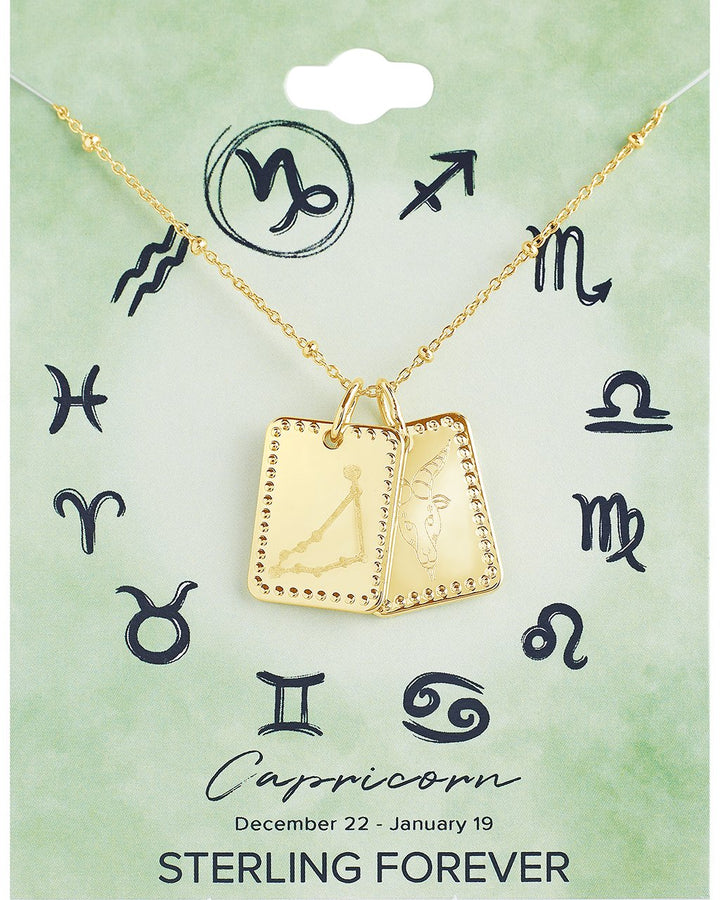 Zodiac Tag Necklace