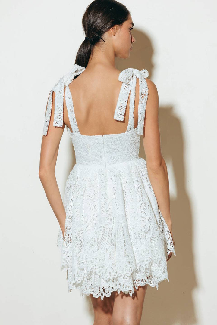 SWEETHEART GINGHAM WOVEN LACE MINI DRESS