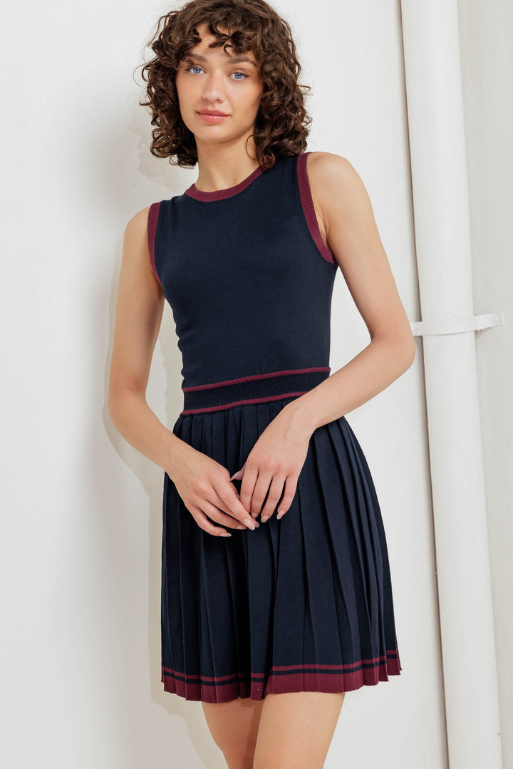 BERRY STRIPE SWEATER MINI DRESS