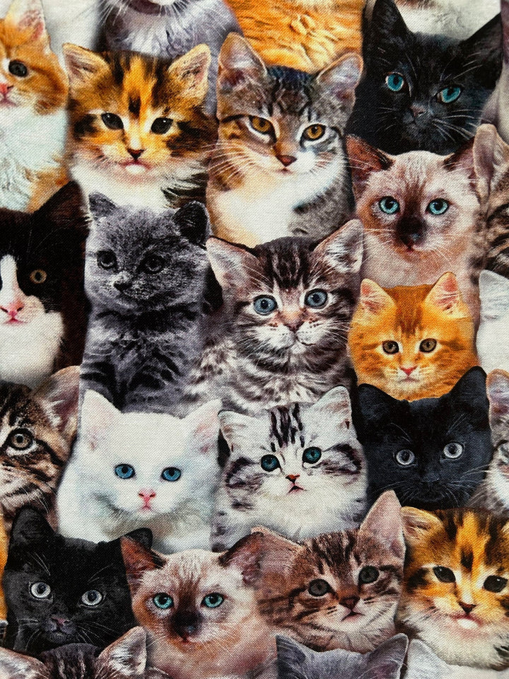 Realistic Cats A-line Skirt