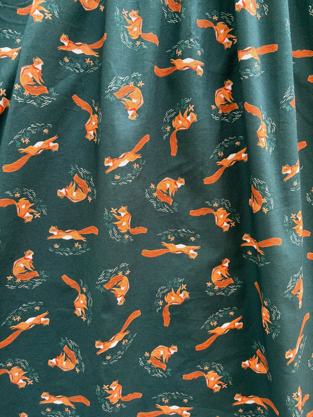 Chipmunks Fit &amp; Flare Dress