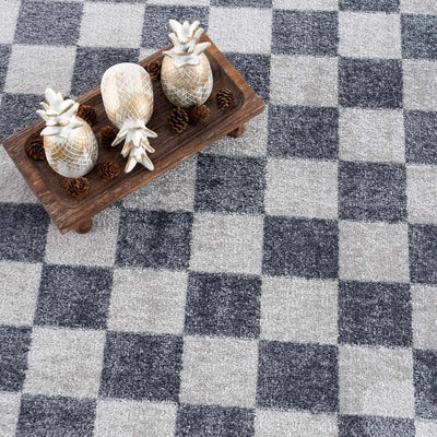 Alie Gray Checkered Washable Area Rug