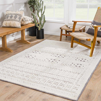 Bahar Cream & Gray Washable Area Rug - Clearance