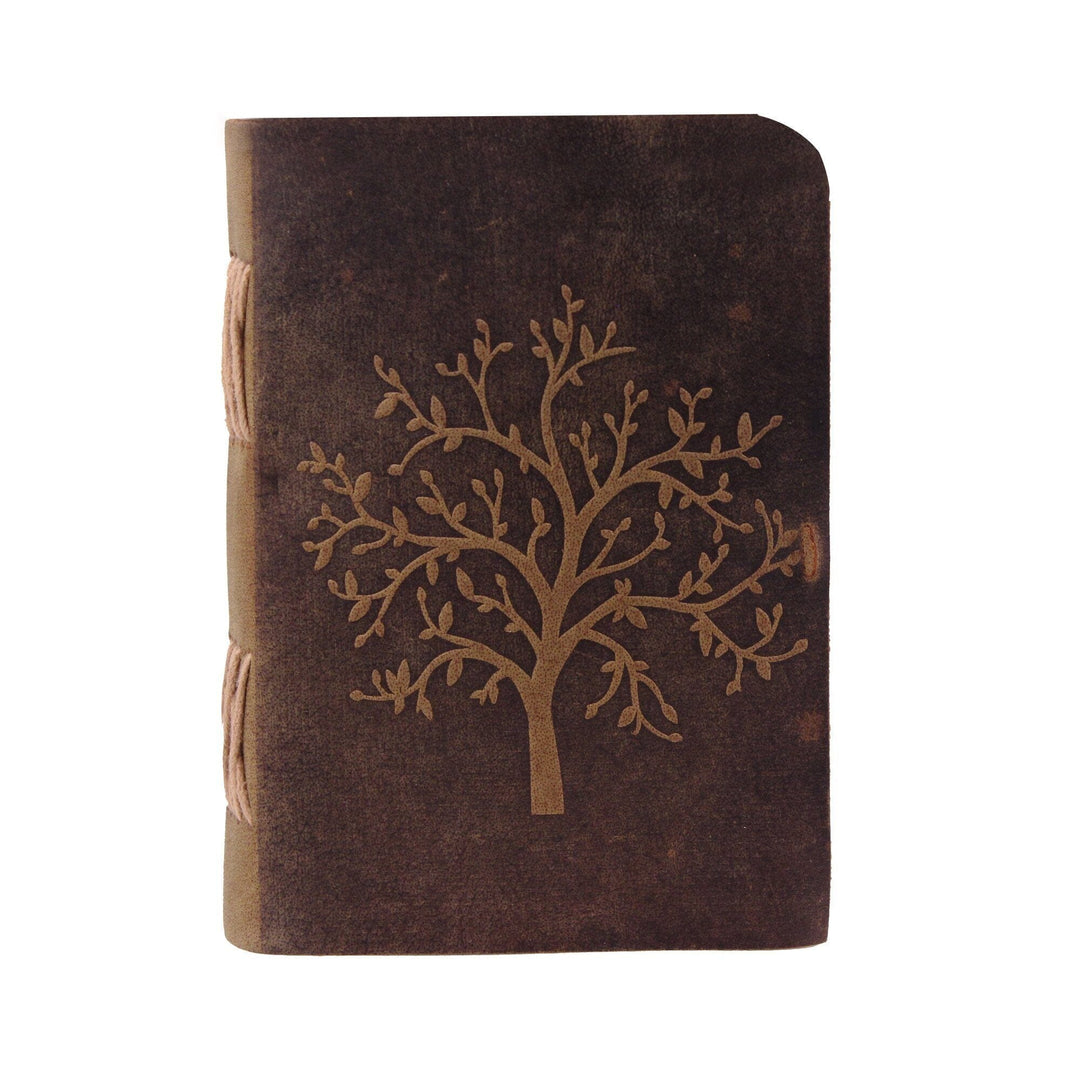The Sapling Notebook