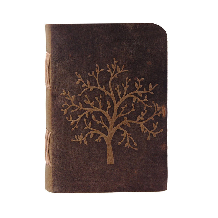 The Sapling Notebook