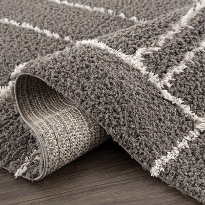 Andia Charcoal Area Rug - Clearance