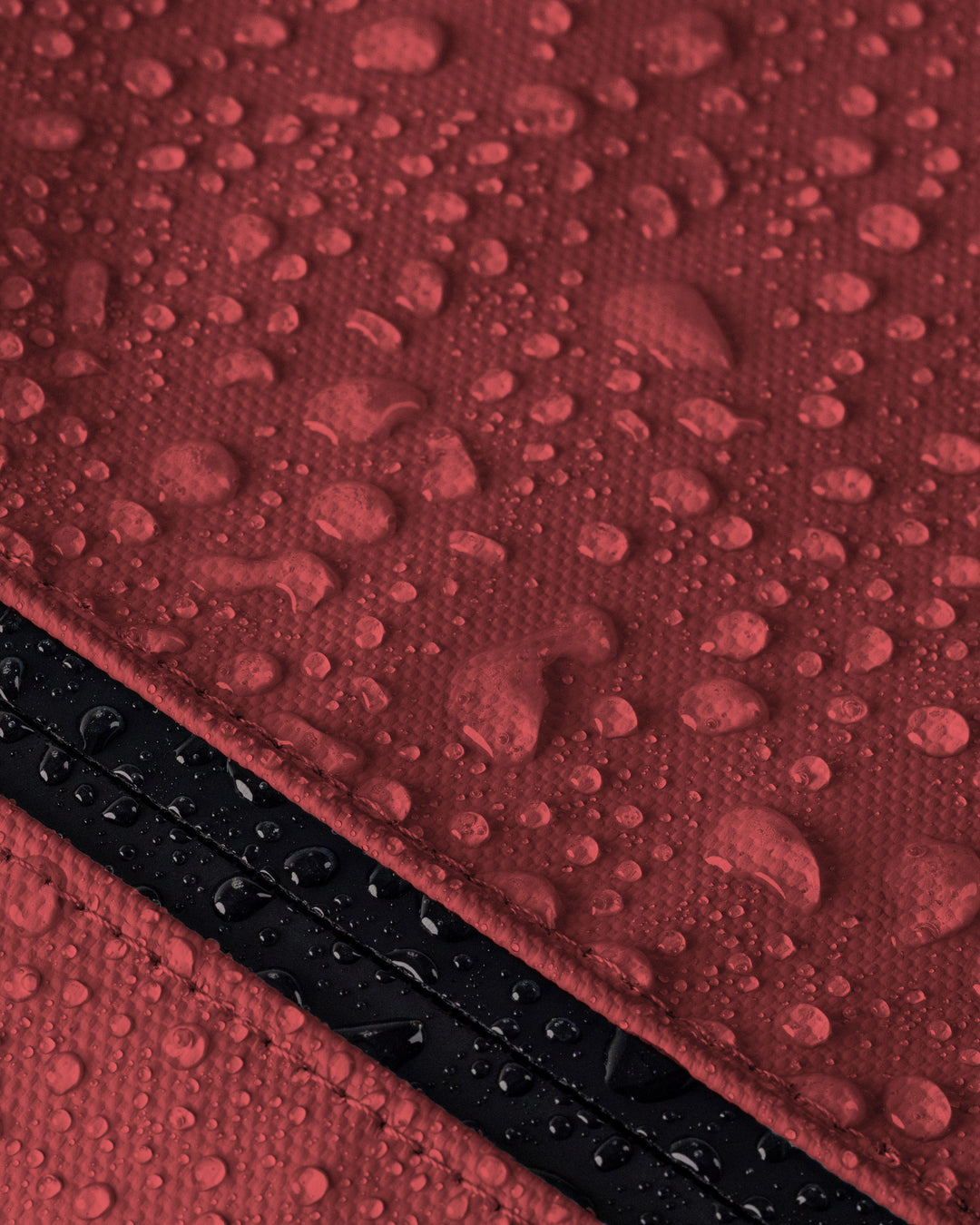Cascade Backpack - Standard
