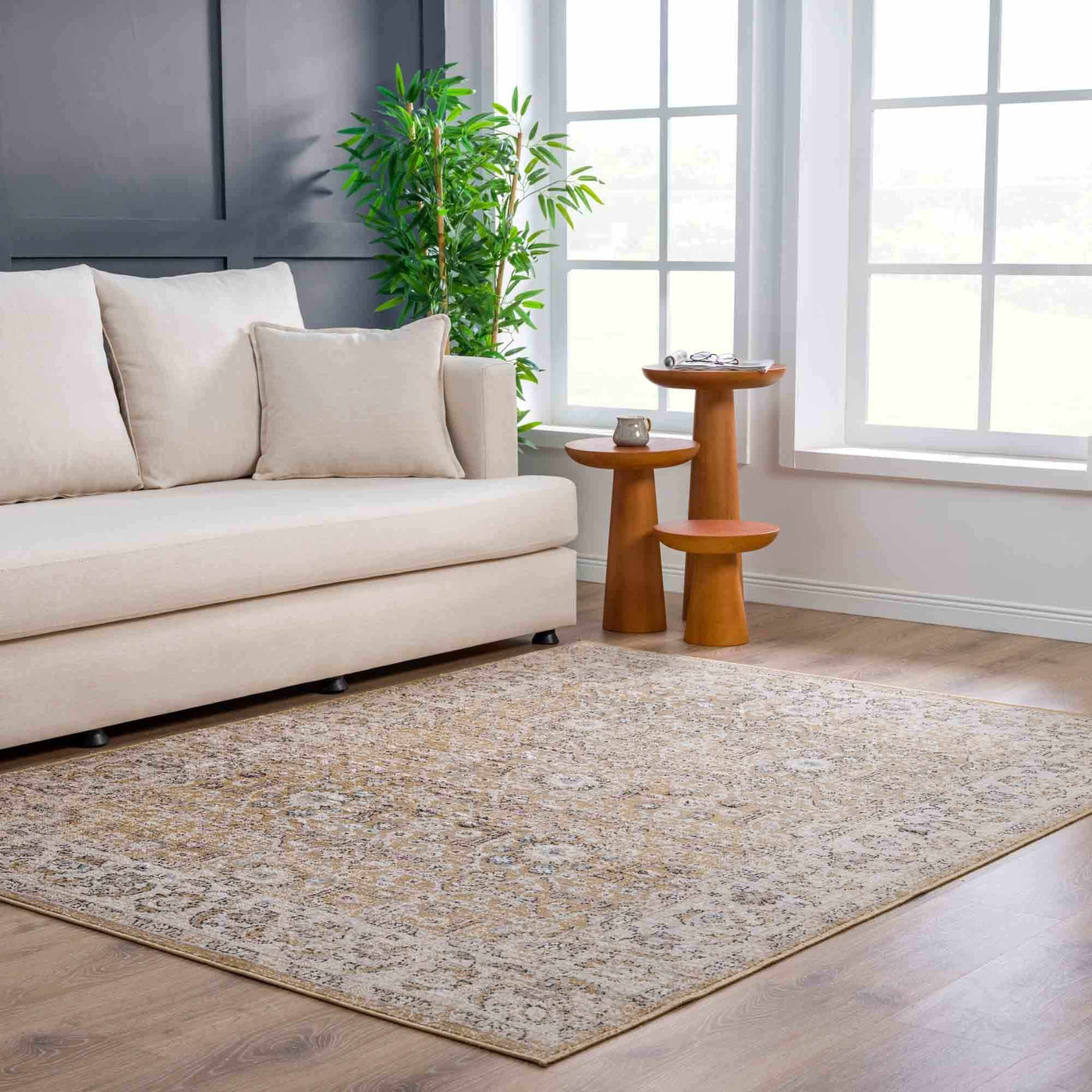 Anana Gold & Beige Area Rug - Clearance