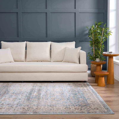 Anana Silver Blue & Beige Area Rug - Clearance