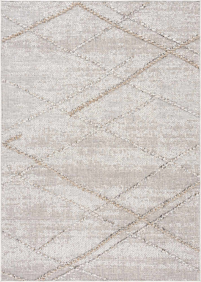 Baqer Bone & Tan Textured Performance Rug - Clearance