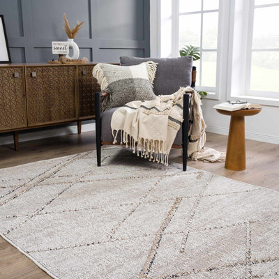 Baqer Bone & Tan Textured Performance Rug - Clearance