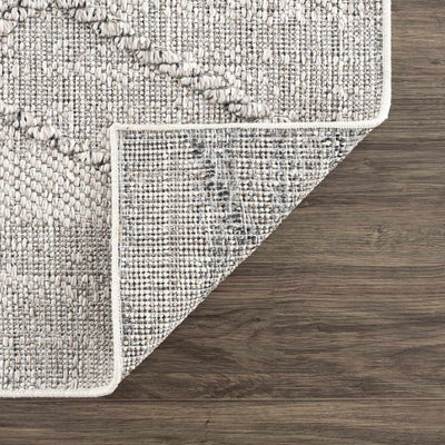 Baqer Bone & Taupe Textured Performance Rug - Clearance