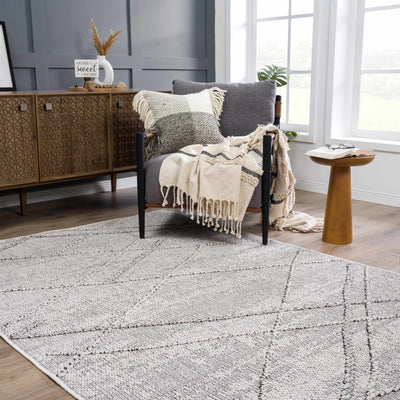 Baqer Bone & Taupe Textured Performance Rug - Clearance