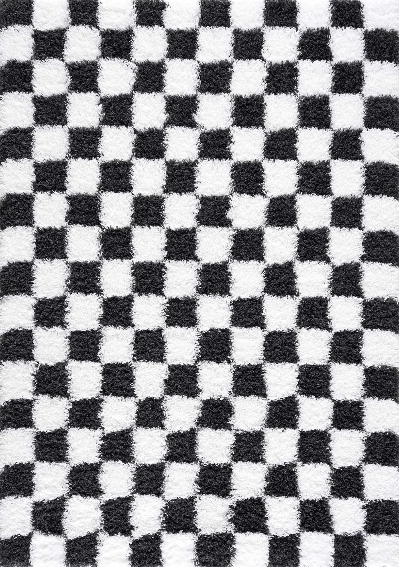 Atira Black & White Checkered Area Rug