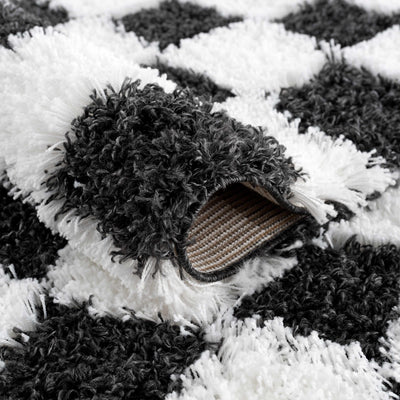 Atira Black & White Checkered Area Rug