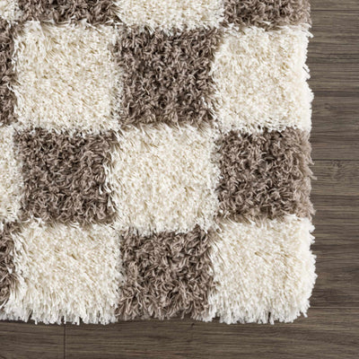 Atira Brown Checkered Area Rug