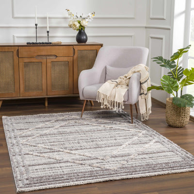 Barurao High/Low Pile Rug - Clearance