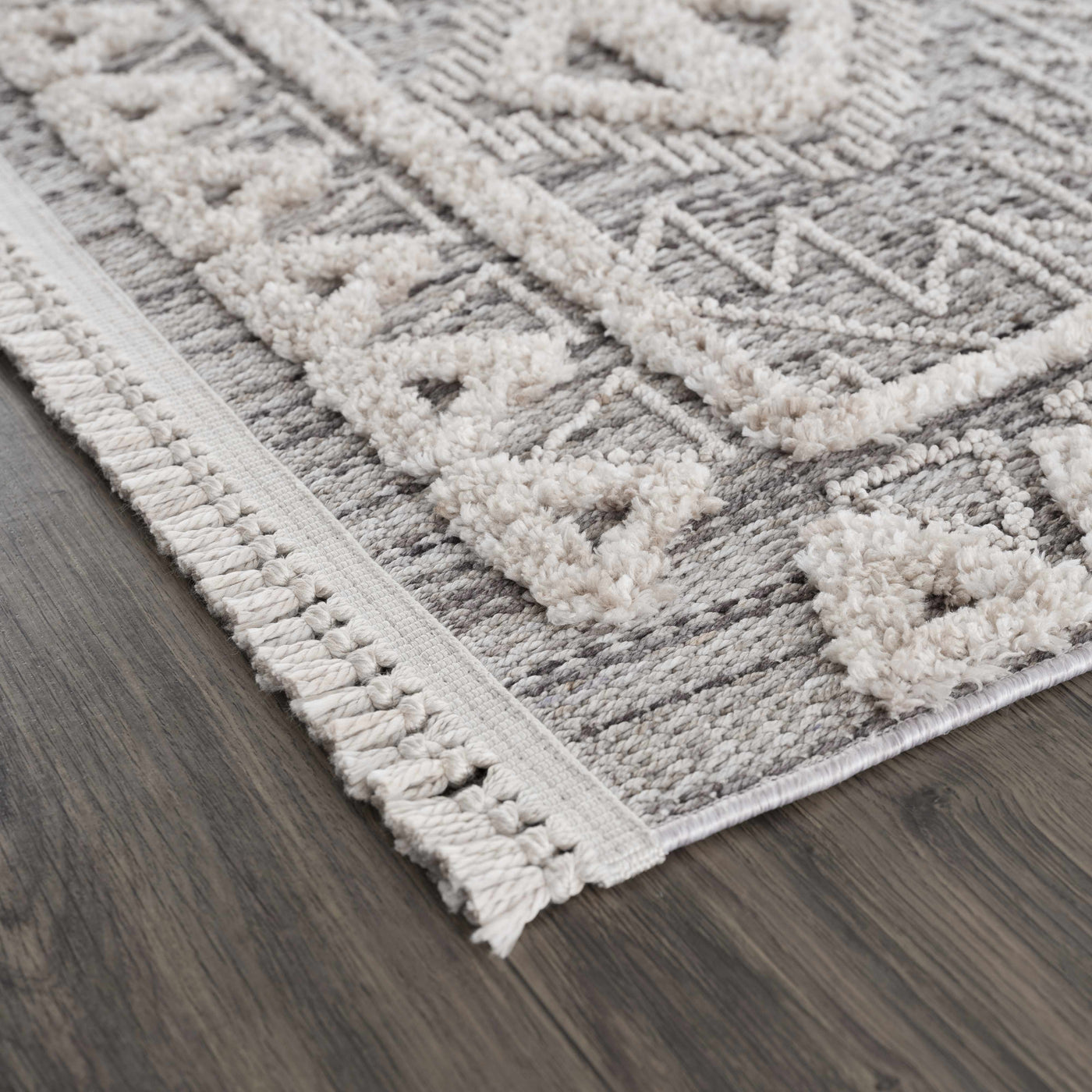 Agoo High-Low Pile Performance Rug