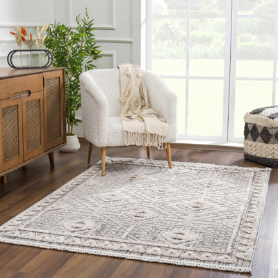 Agoo High-Low Pile Performance Rug