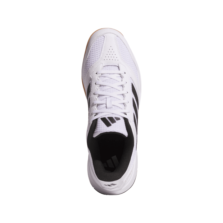 adidas Men's Ligra 8 Volleyball Shoe