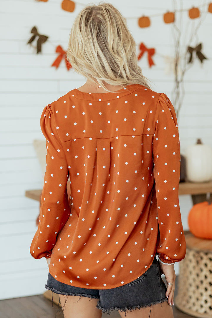 Brown Polka Dot Half Button V Neck Long Sleeve Blouse