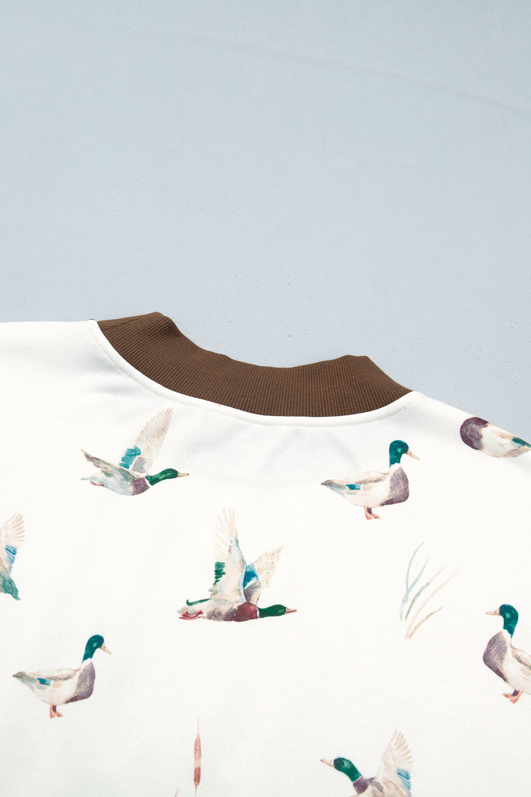 Beige Western Mallard Letter Print Baggy Pullover Sweatshirt