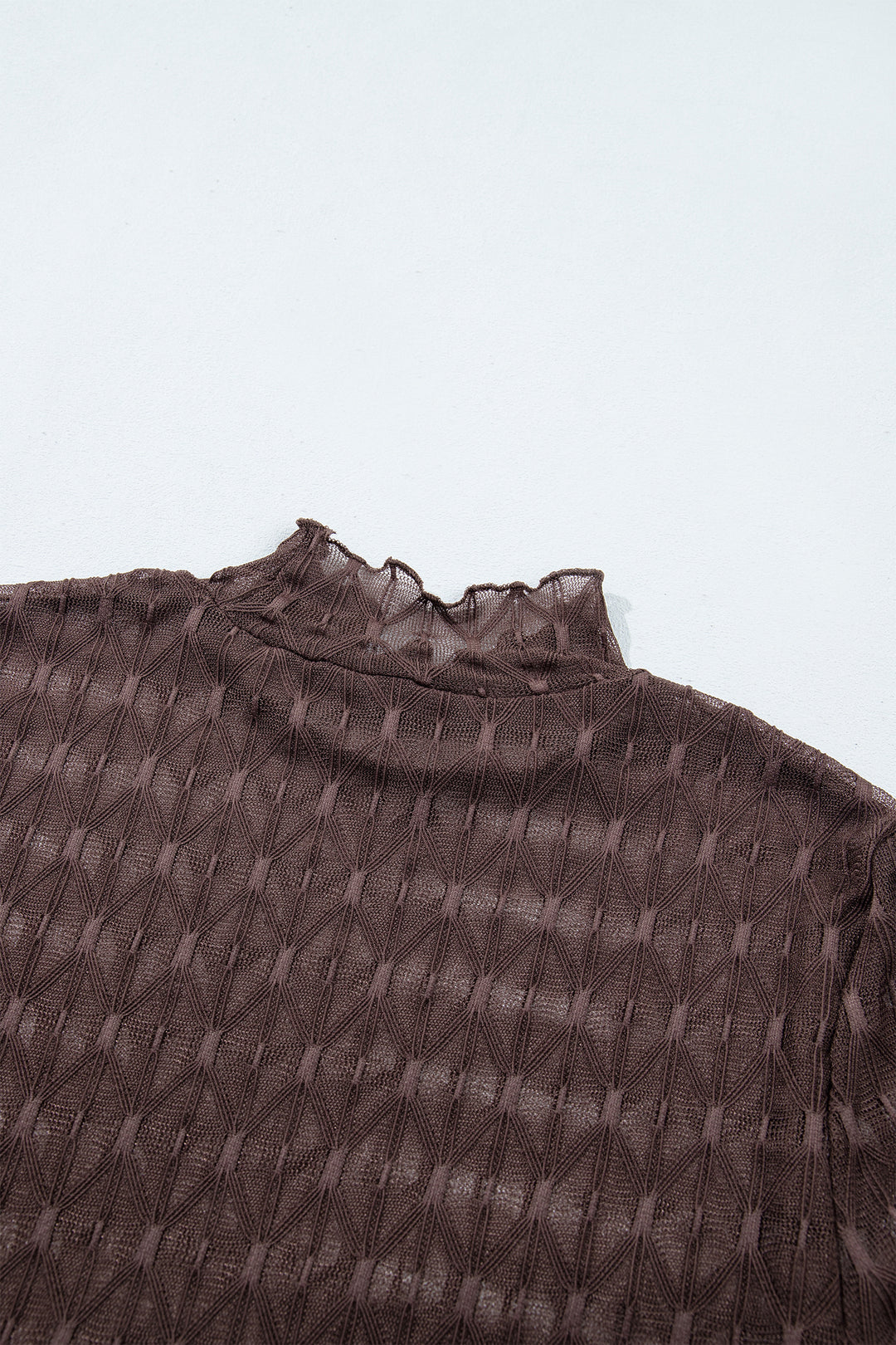 Chicory Coffee Sheer Textured Lace Stand Neck Long Sleeve Top