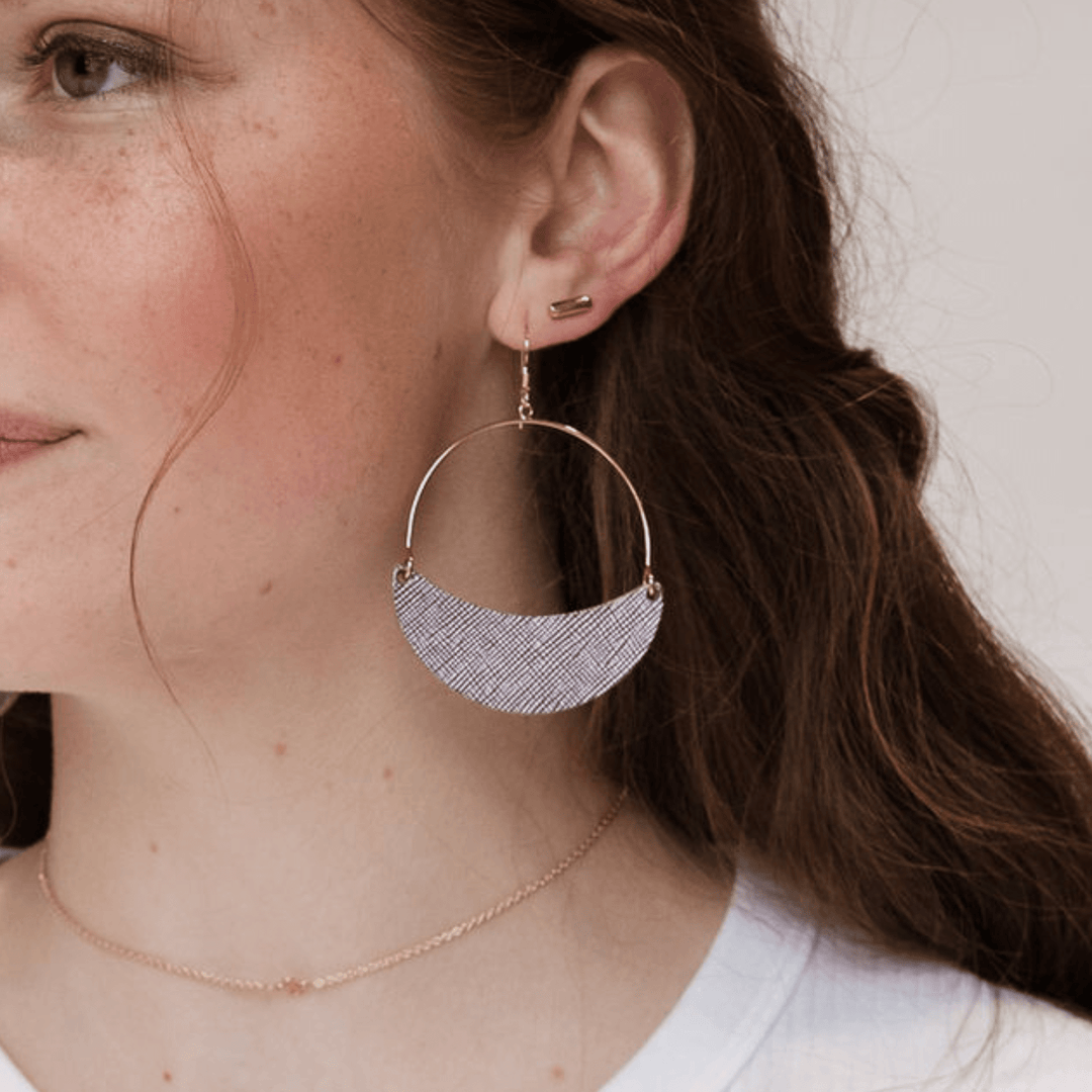 Lavender Haze Asters